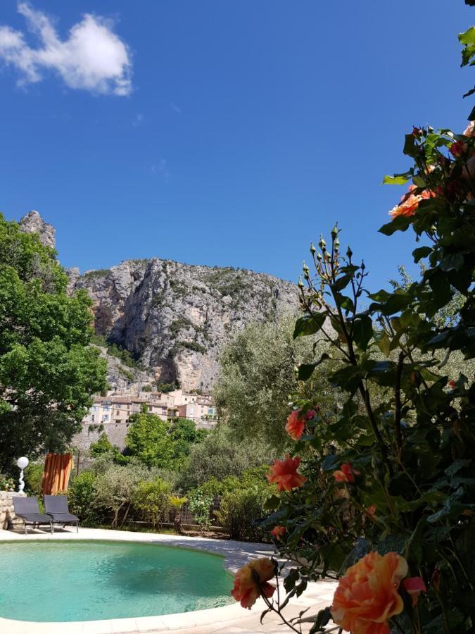 Bed and Breakfast Bastide Des Oliviers Мустье-Сент-Мари Экстерьер фото